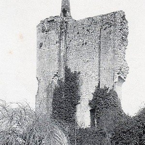 4 : Les contemporains