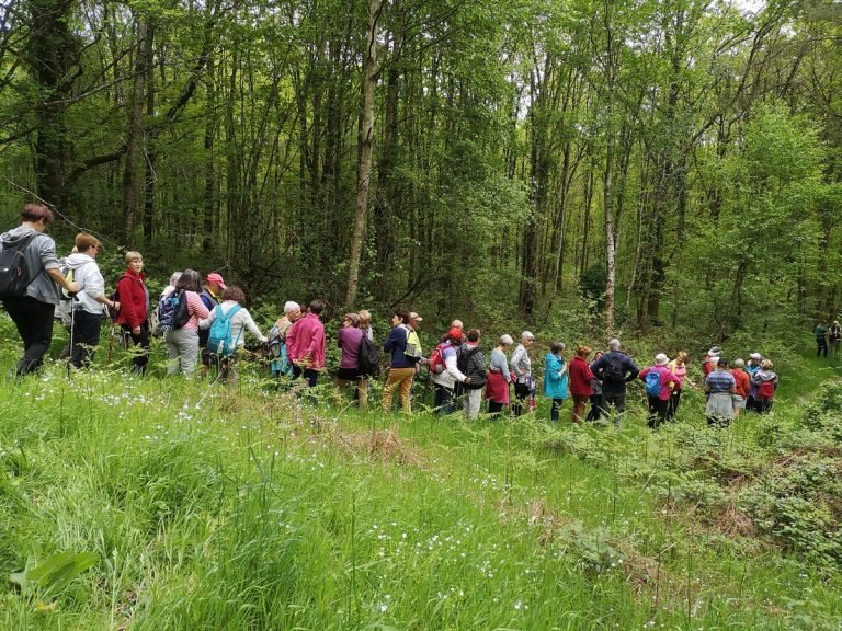 Les randonneurs du domfrontais