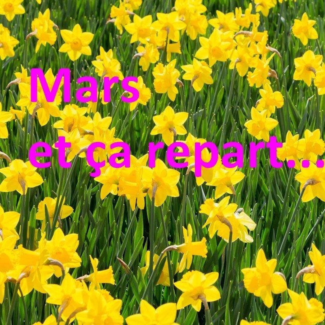 Lire la suite à propos de l’article 11: Mars et ça repart
