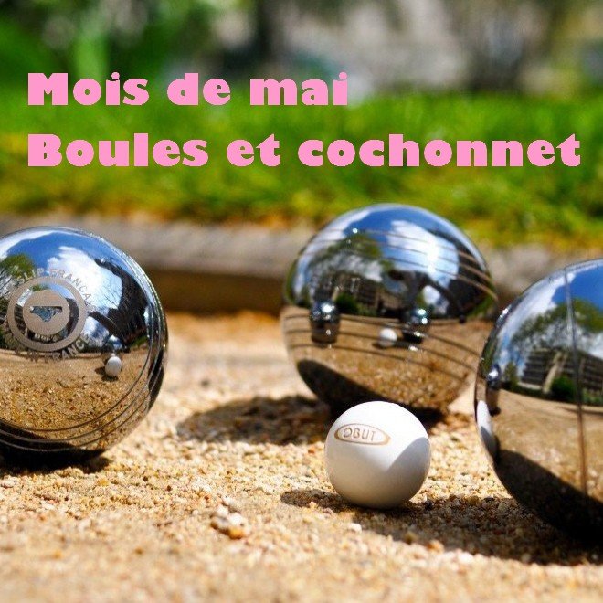 Actualités-animations Mai-2024