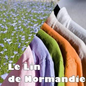 Lire la suite à propos de l’article Le lin