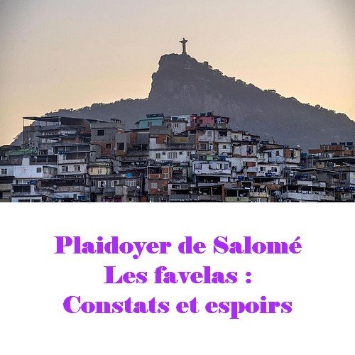 Plaidoyer : les favelas