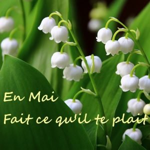 Lire la suite à propos de l’article 13 : En mai fait ce qu’il te plait