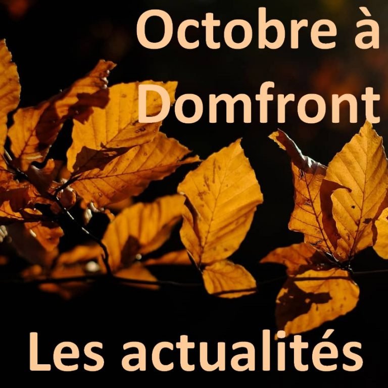 Actualités-animations Octobre-2024