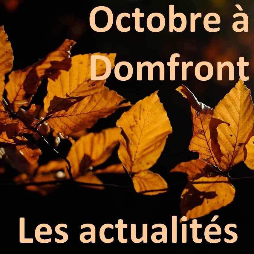 Lire la suite à propos de l’article Actualités-animations Octobre-2024