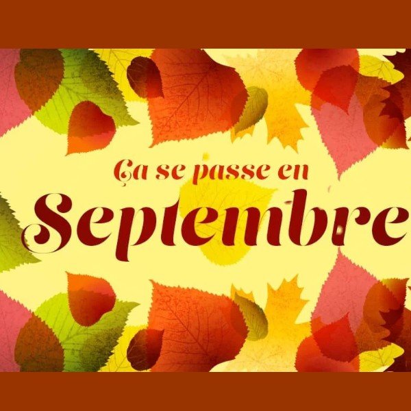 Actualités-animations Septembre-2024