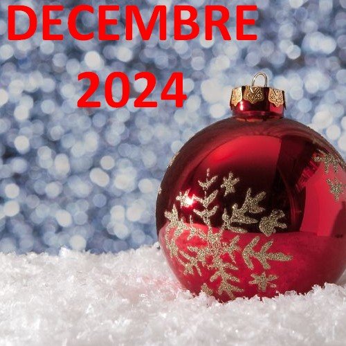 Actualités-animations Decembre-2024