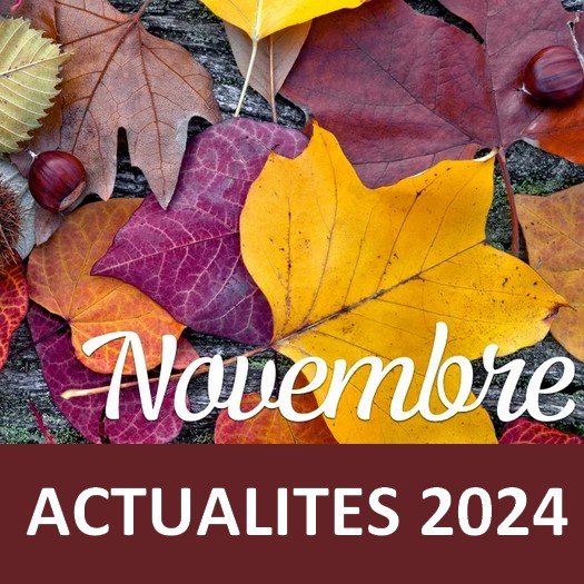 Actualités-animations Novembre-2024