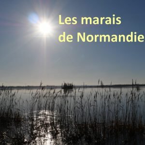 Lire la suite à propos de l’article Les marais ont fondé la Normandie