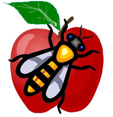 Abeille des Bocages Normands